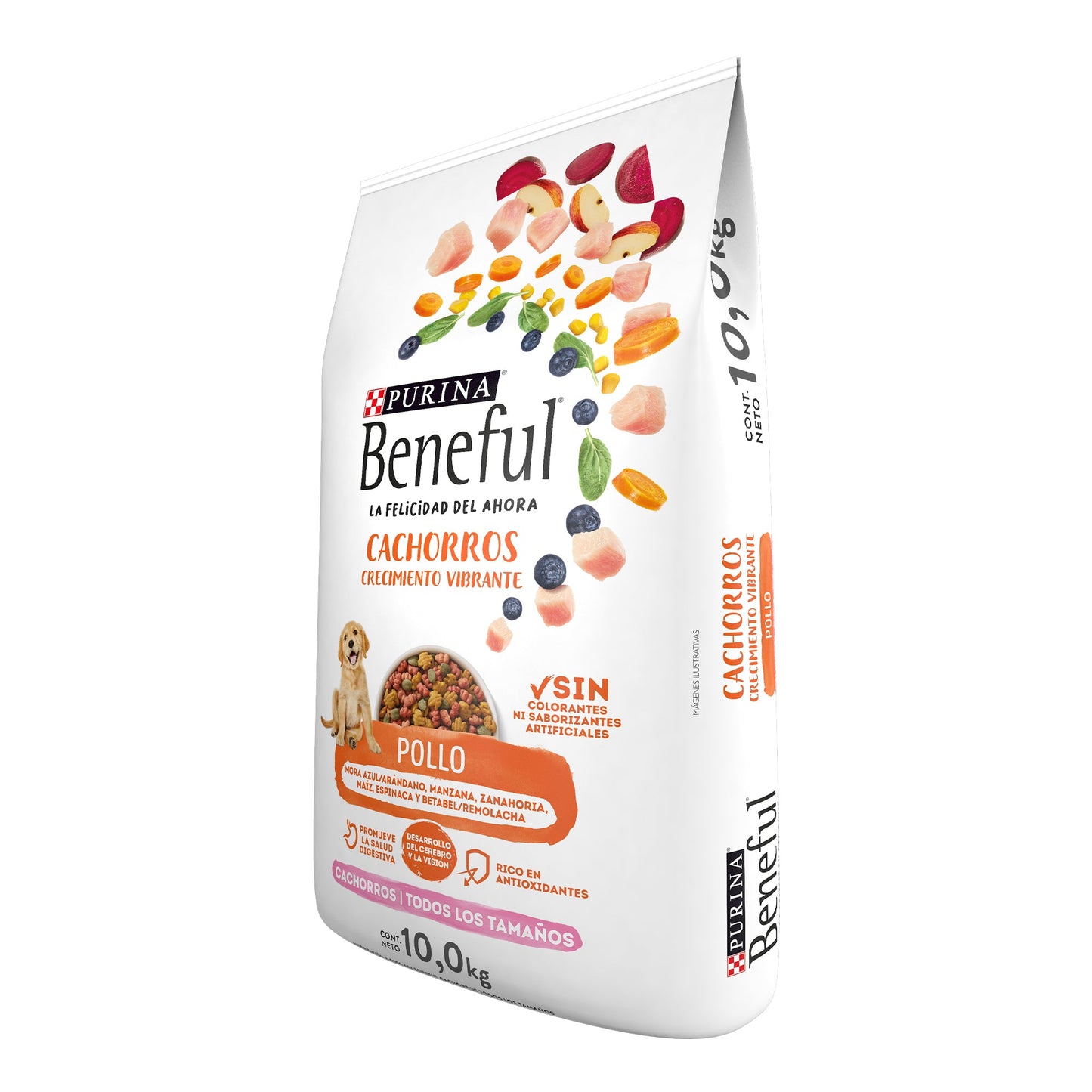 Beneful Cachorro 10 kg