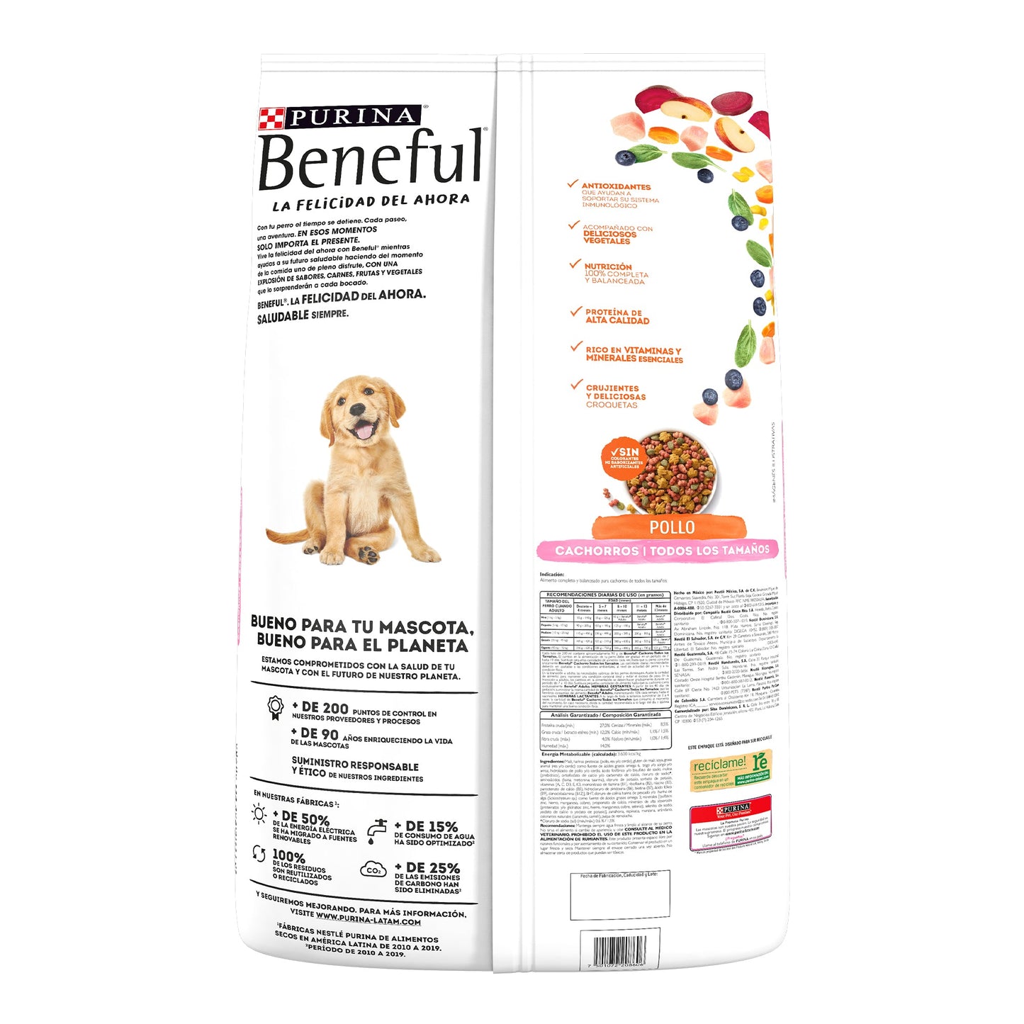 Beneful Cachorro 10 kg