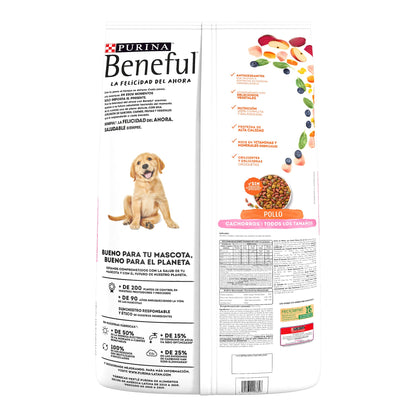 Beneful Cachorro 10 kg