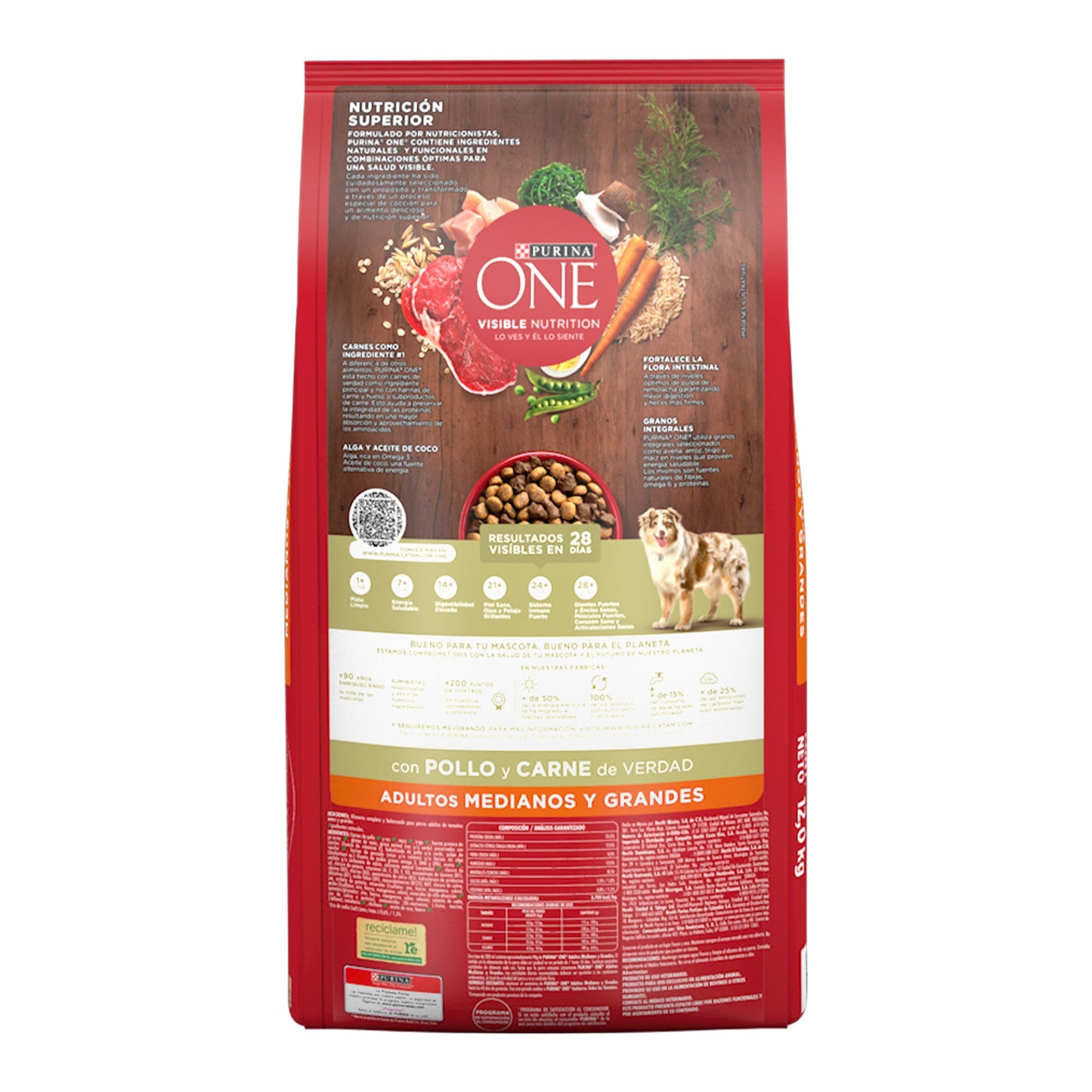 One Perro Adulto Carne 12 kg