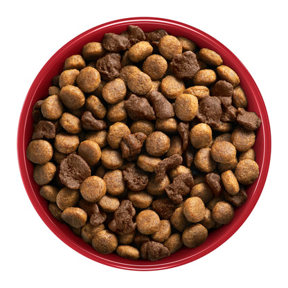 One Perro Adulto Carne 12 kg